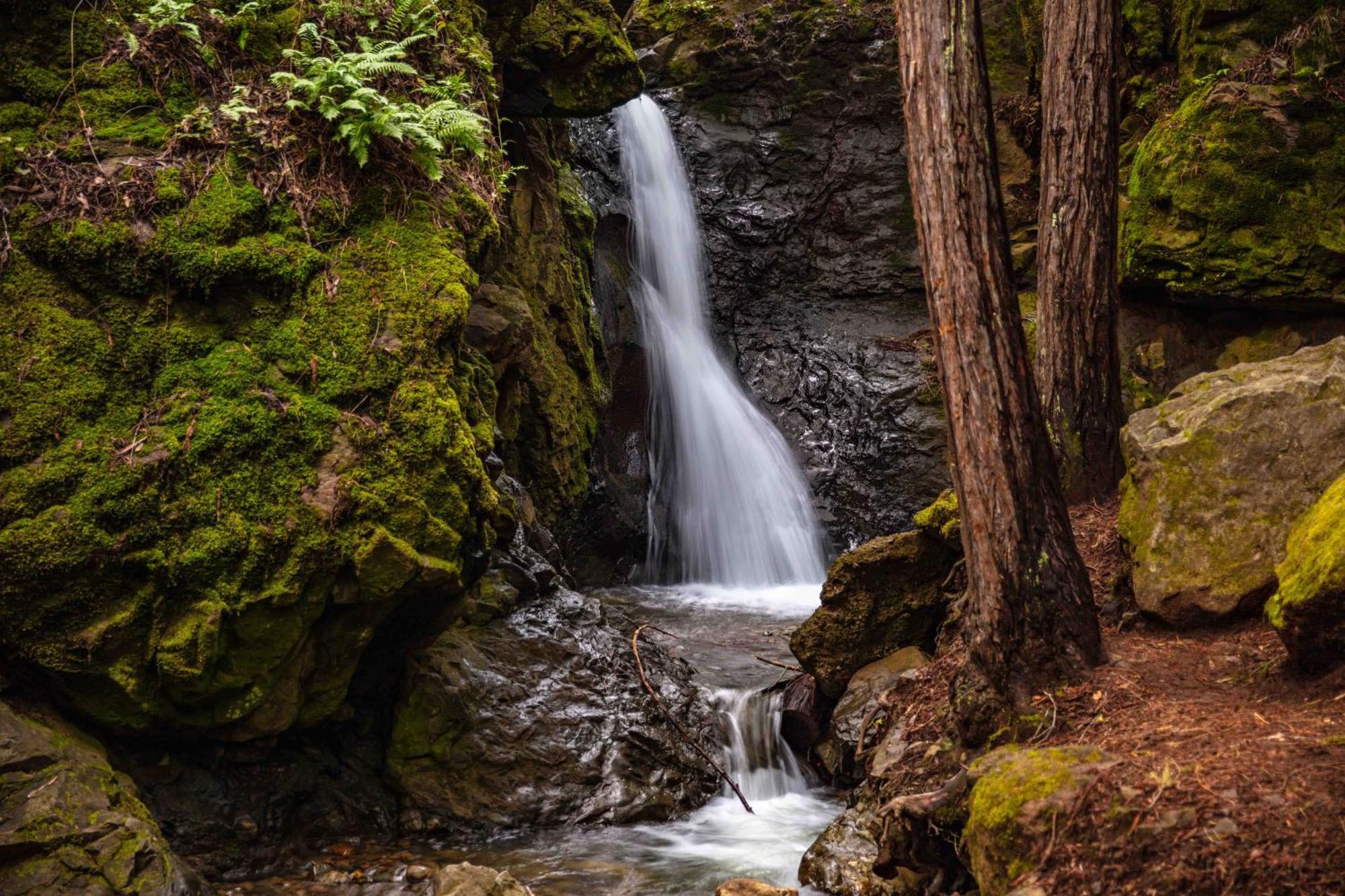 Enchanted Waterfall Sanctuary มิลวัลเลย์ ภายนอก รูปภาพ